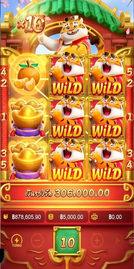 Wild Bandida
